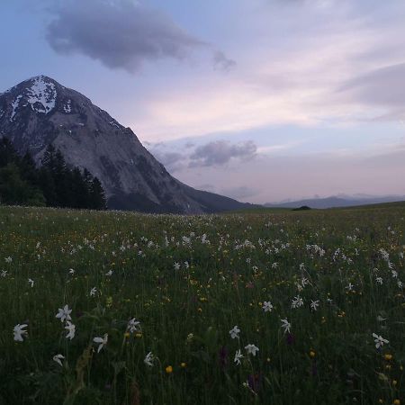 Ferienwohnung Poreiterhof 陶普利茨 外观 照片